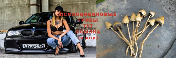 PSILOCYBIN Алексин