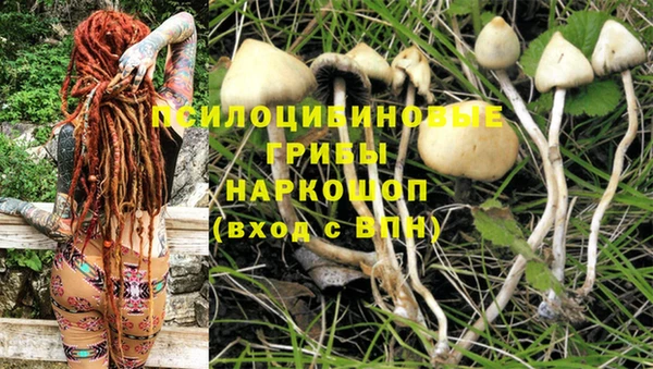спайс Аркадак
