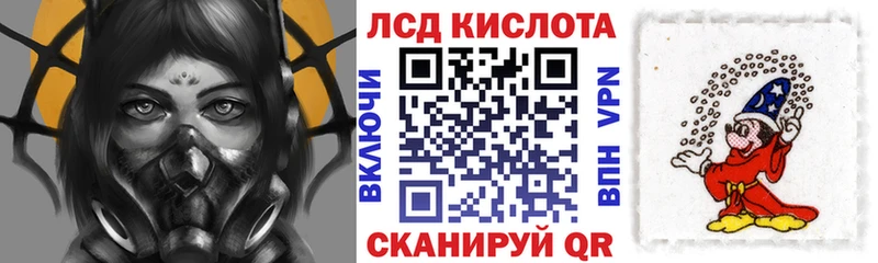 Марки N-bome 1500мкг  закладка  Волхов 