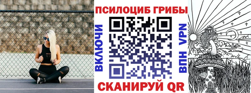 как найти наркотики Волхов Псилоцибиновые грибы прущие грибы