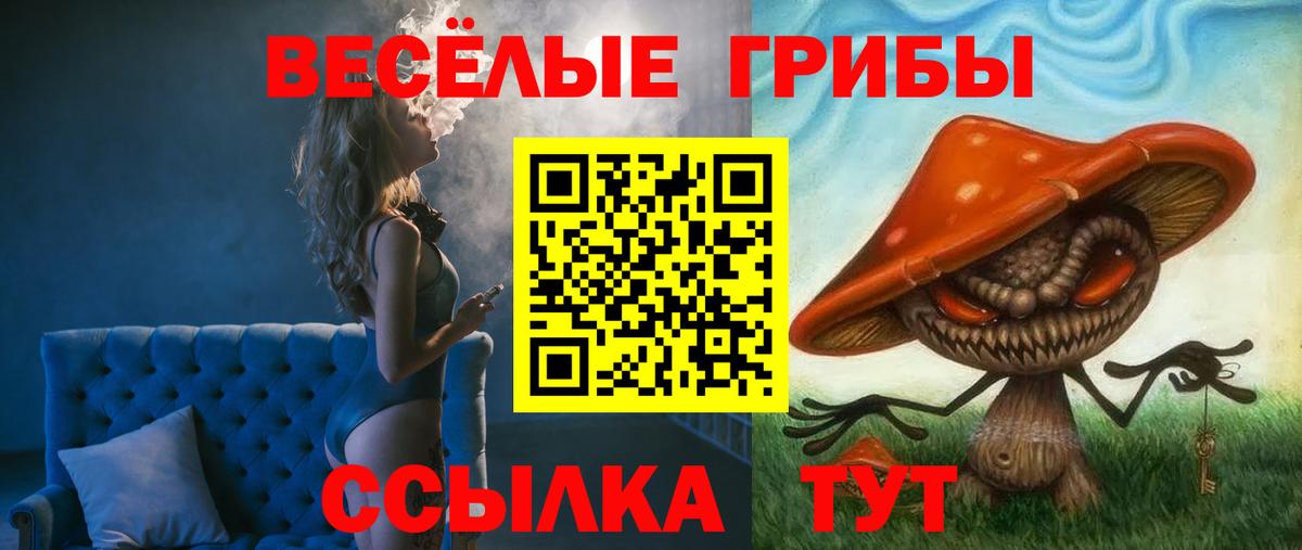 Псилоцибиновые грибы Psilocybe  Вход с VPN  Псилоцибиновые грибы Psilocybine cubensis  Волхов 